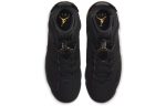 Jordan 6 Retro DMP (2020)